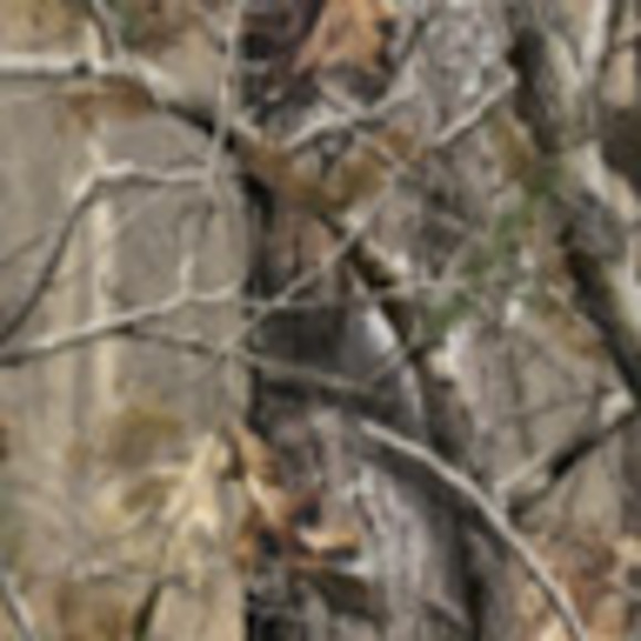 Meet your Posher, Robert - Picture 1 of 1